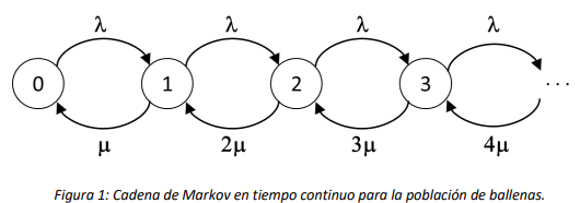 Figura 1
